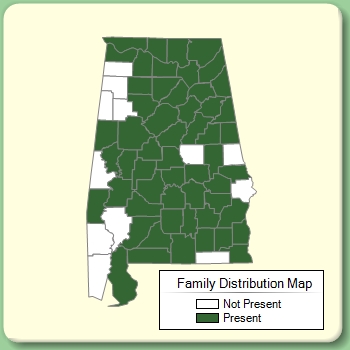 Family Distribution Map