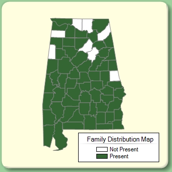 Family Distribution Map