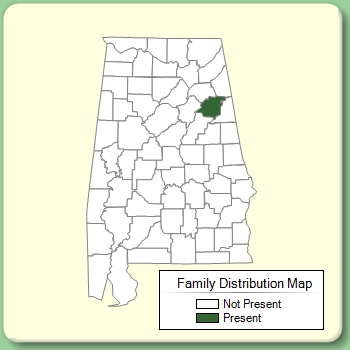 Family Distribution Map