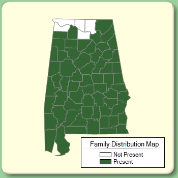 Family Distribution Map