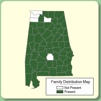 Family Distribution Map