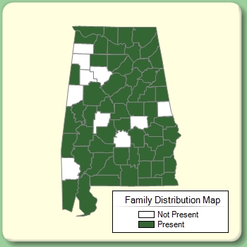 Family Distribution Map