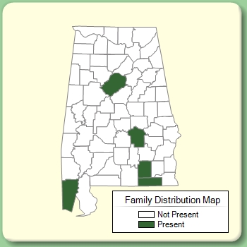 Family Distribution Map