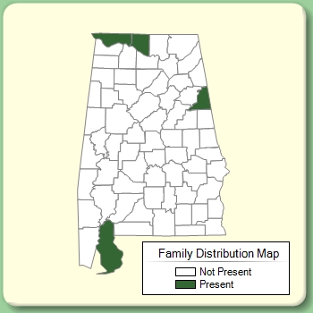 Family Distribution Map