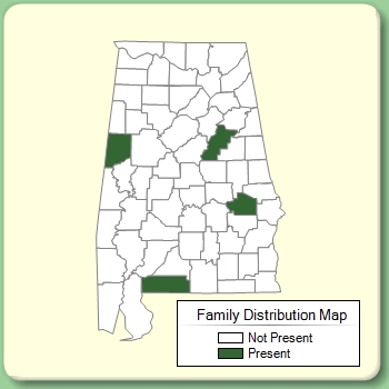 Family Distribution Map