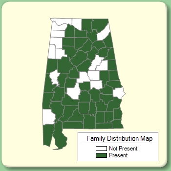 Family Distribution Map