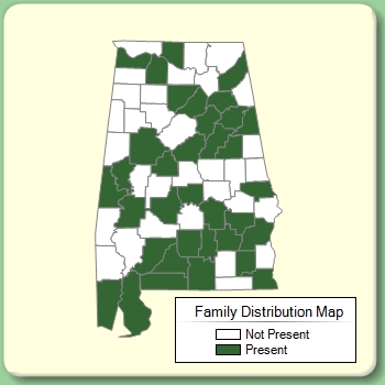 Family Distribution Map