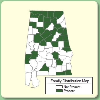 Family Distribution Map