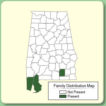 Family Distribution Map