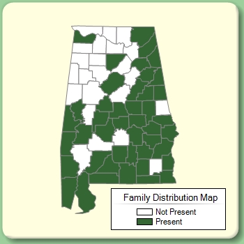 Family Distribution Map