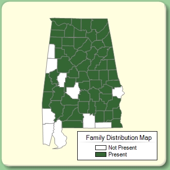 Family Distribution Map