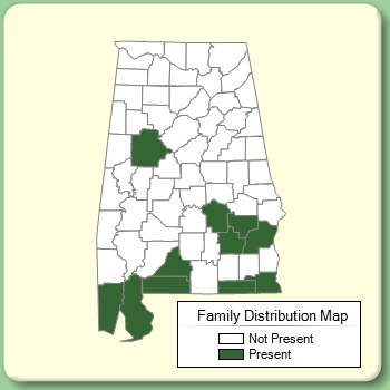 Family Distribution Map