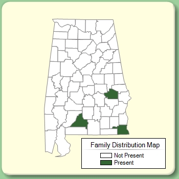 Family Distribution Map