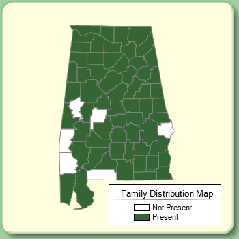 Family Distribution Map