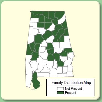 Family Distribution Map