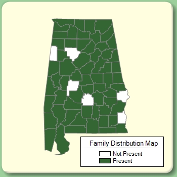 Family Distribution Map