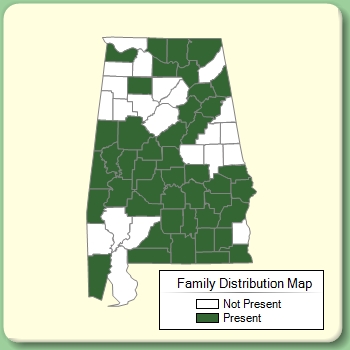 Family Distribution Map