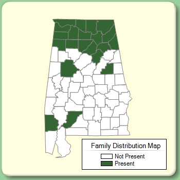 Family Distribution Map