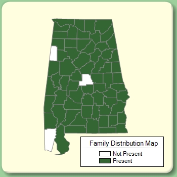 Family Distribution Map