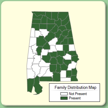 Family Distribution Map