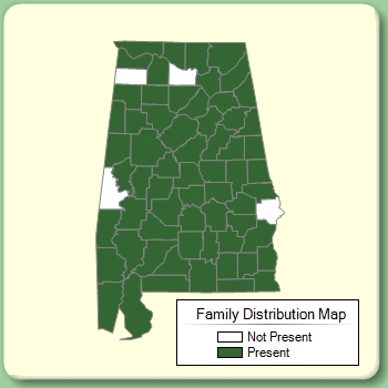 Family Distribution Map