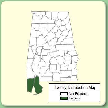 Family Distribution Map