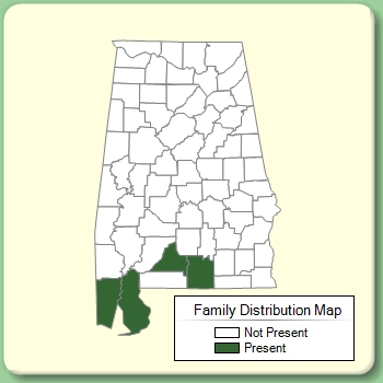 Family Distribution Map