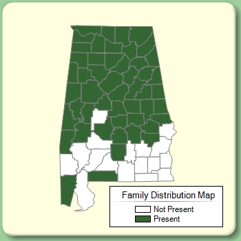 Family Distribution Map