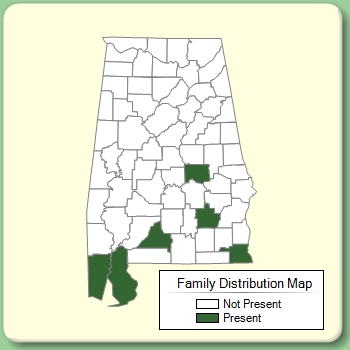 Family Distribution Map