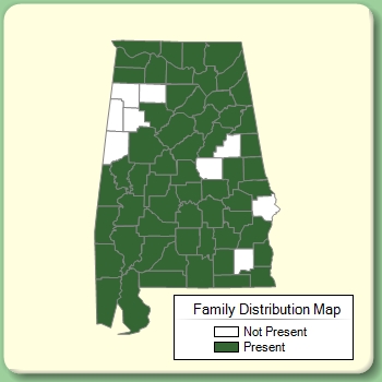 Family Distribution Map