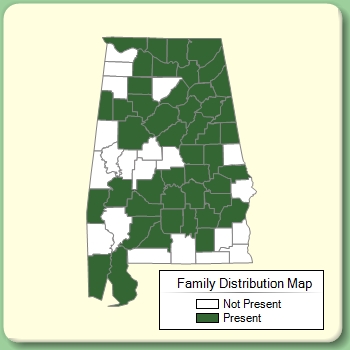 Family Distribution Map