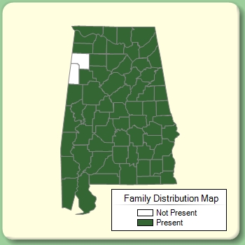 Family Distribution Map