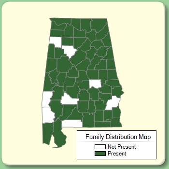 Family Distribution Map