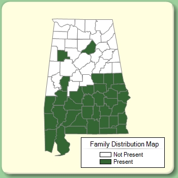 Family Distribution Map