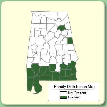 Family Distribution Map