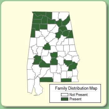 Family Distribution Map