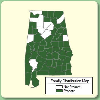 Family Distribution Map