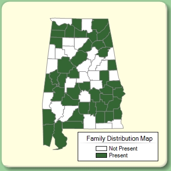 Family Distribution Map