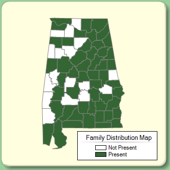 Family Distribution Map