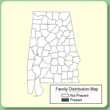 Family Distribution Map