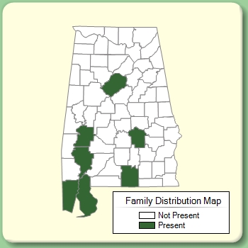 Family Distribution Map