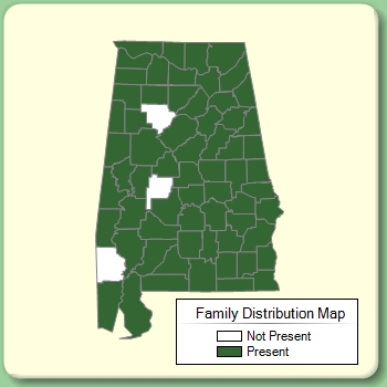 Family Distribution Map