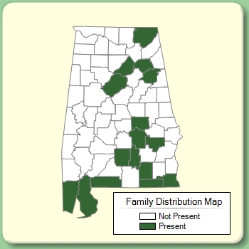 Family Distribution Map