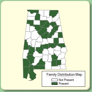 Family Distribution Map