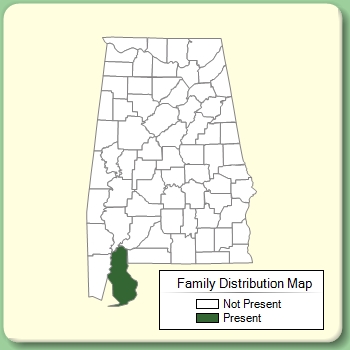 Family Distribution Map