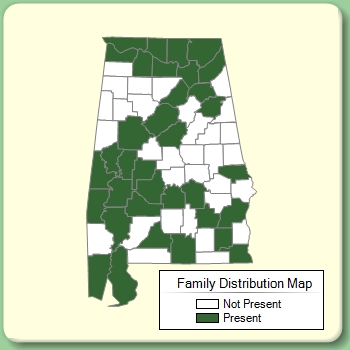 Family Distribution Map