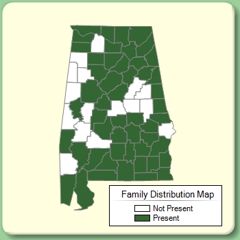 Family Distribution Map