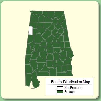 Family Distribution Map