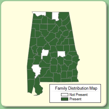 Family Distribution Map