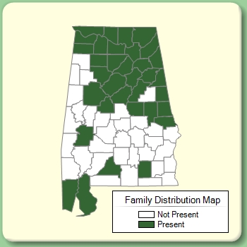 Family Distribution Map